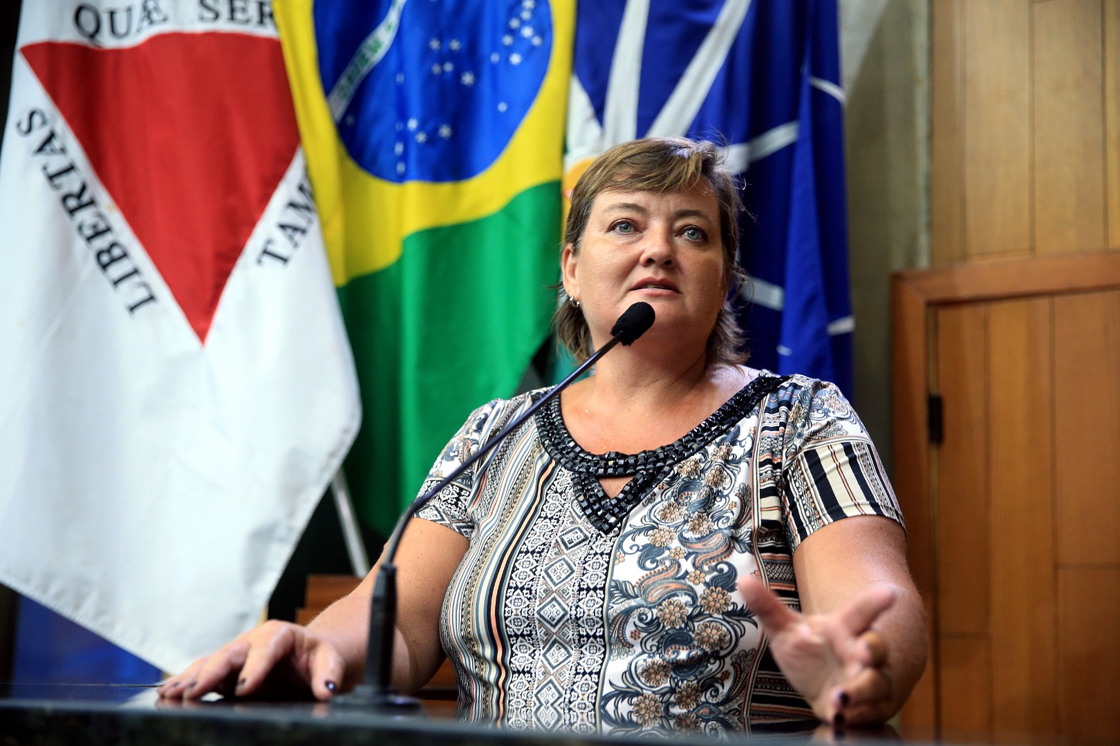 foto Aline Rezende 0019.JPG