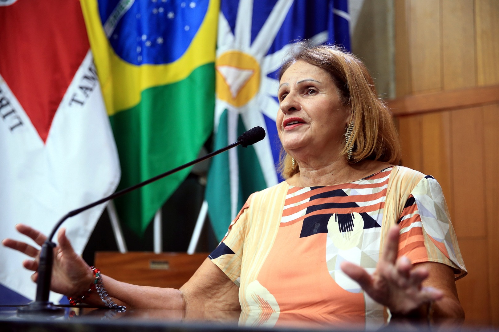 foto Aline Rezende 0038.JPG