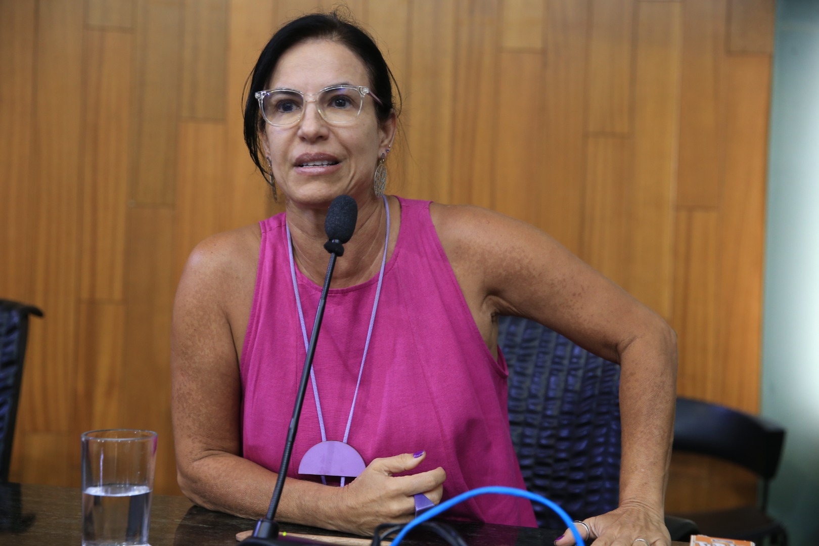 foto Aline Rezende 0017.JPG
