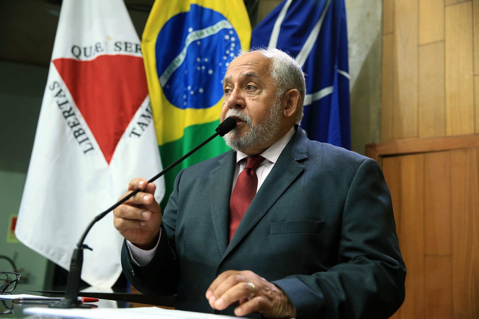 foto Aline Rezende 0002.JPG