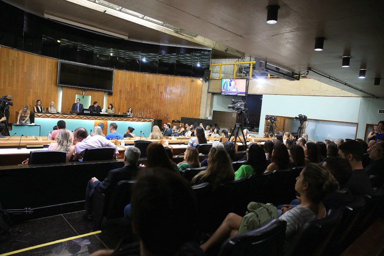 foto Aline Rezende 0020.JPG
