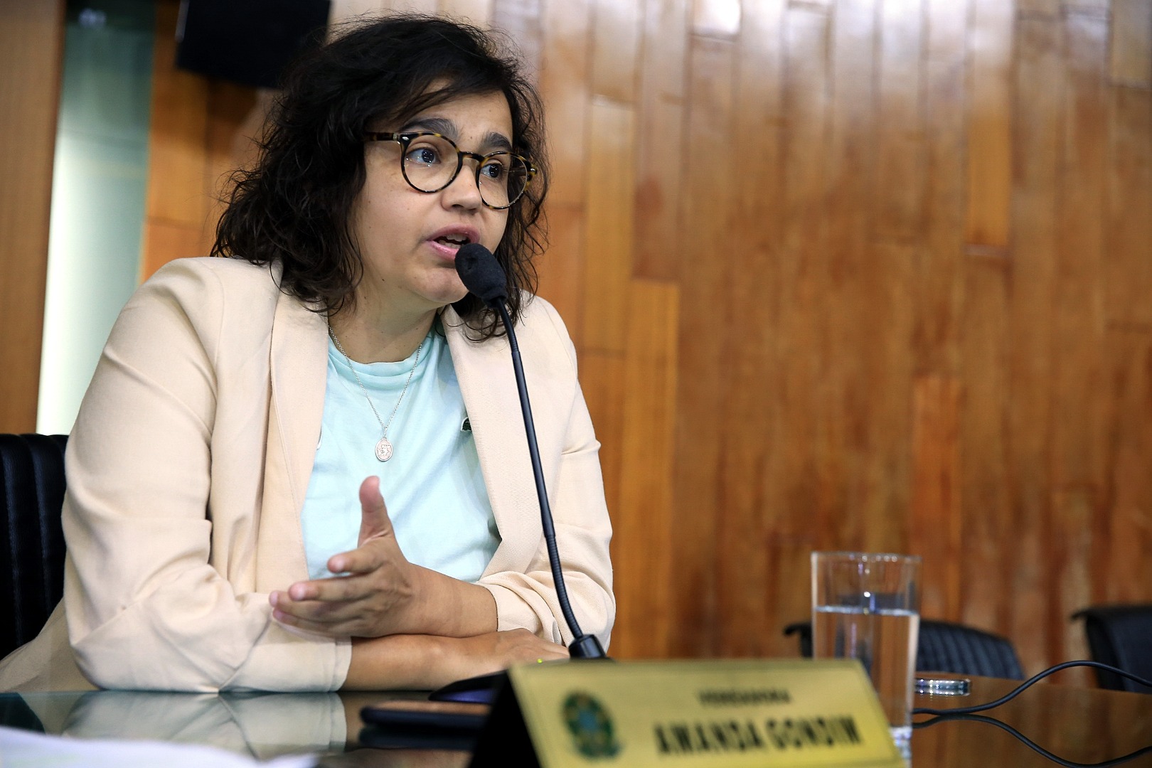 foto Aline Rezende 0009.JPG
