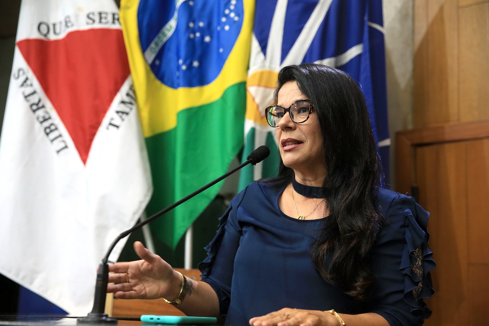 foto Aline Rezende 0019.JPG
