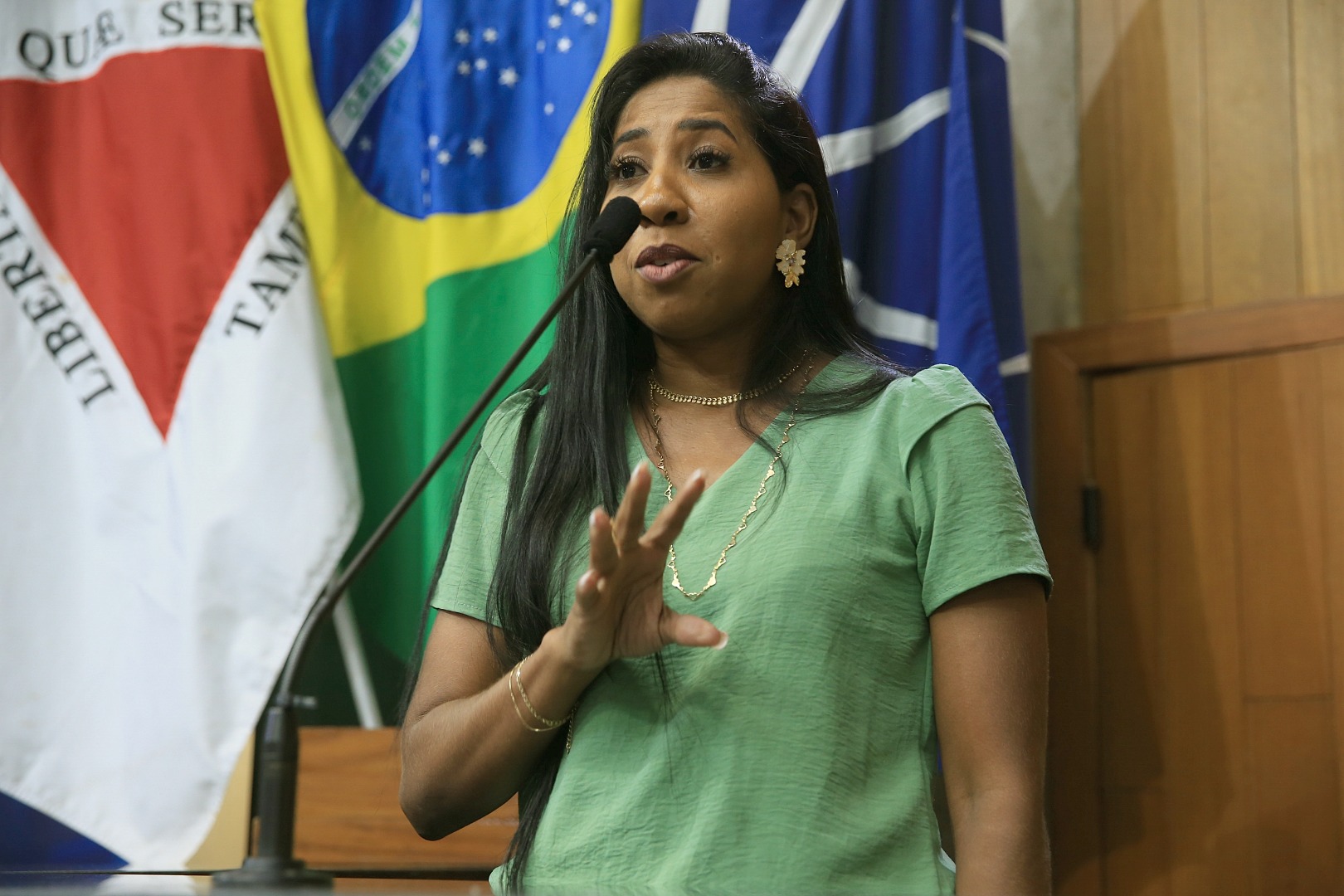 foto Aline Rezende 0033.JPG
