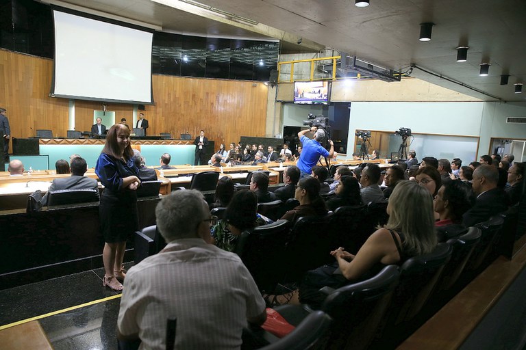 foto Aline Rezende 0005.JPG