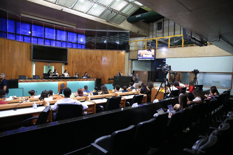 foto Aline Rezende 0006.JPG