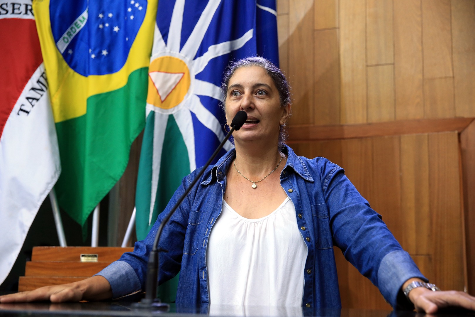 foto Aline Rezende 0013.JPG
