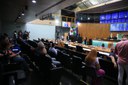  foto Aline Rezende 0036.JPG 
