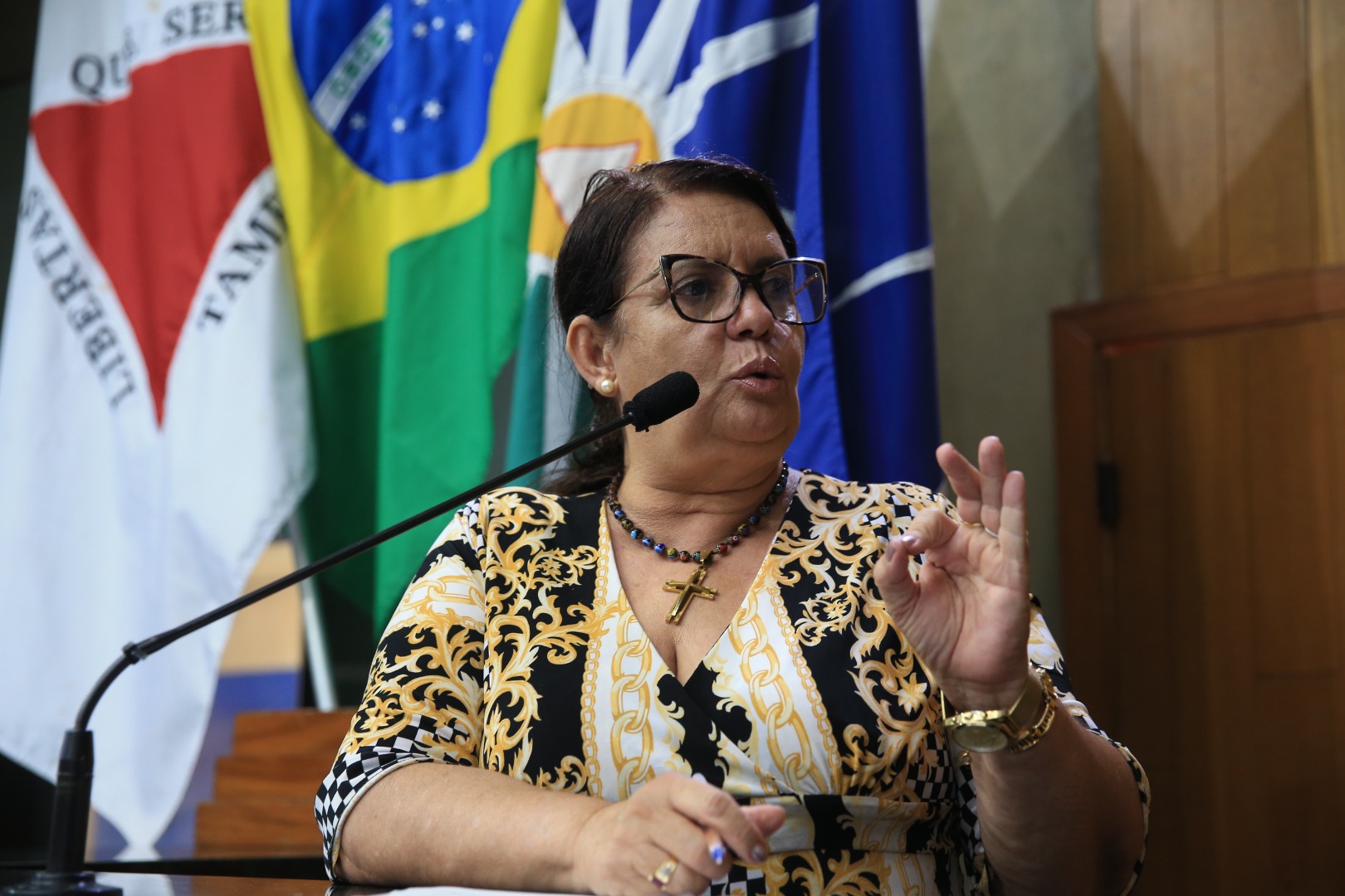 foto Aline Rezende 0015.JPG