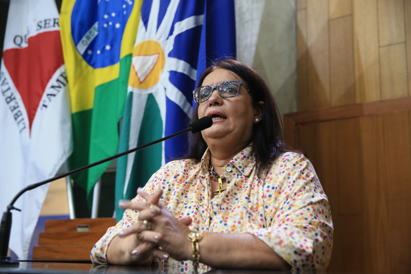 foto Aline Rezende 0029.JPG