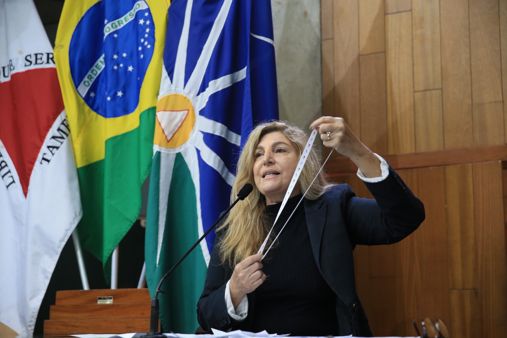 foto Aline Rezende 0075.JPG