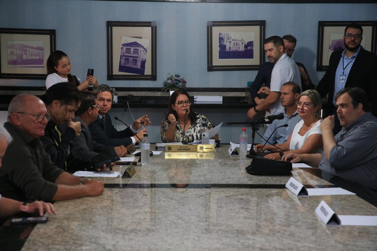foto Aline Rezende 0002.JPG