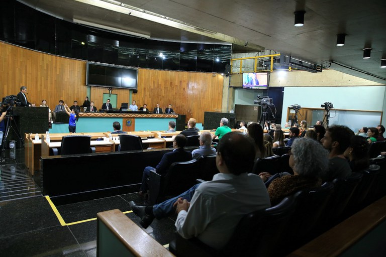 foto Aline Rezende 0019.JPG