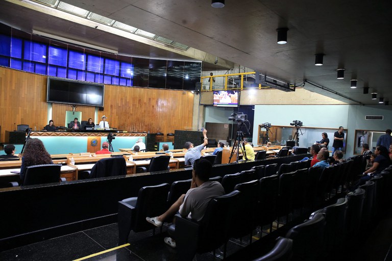 foto Aline Rezende 0012.JPG