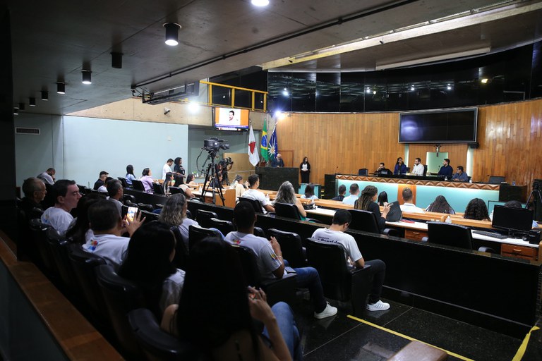 foto Aline Rezende 0013.JPG
