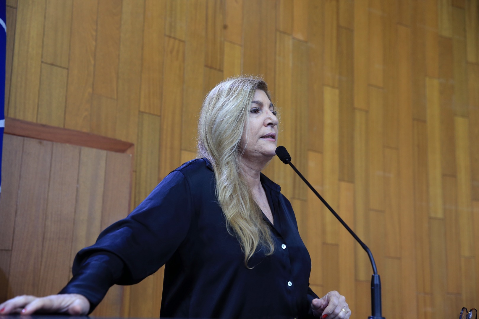foto Aline Rezende 0062.JPG