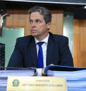  foto Aline Rezende 0008.JPG 