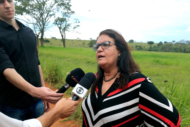 foto Aline Rezende 0043.jpg