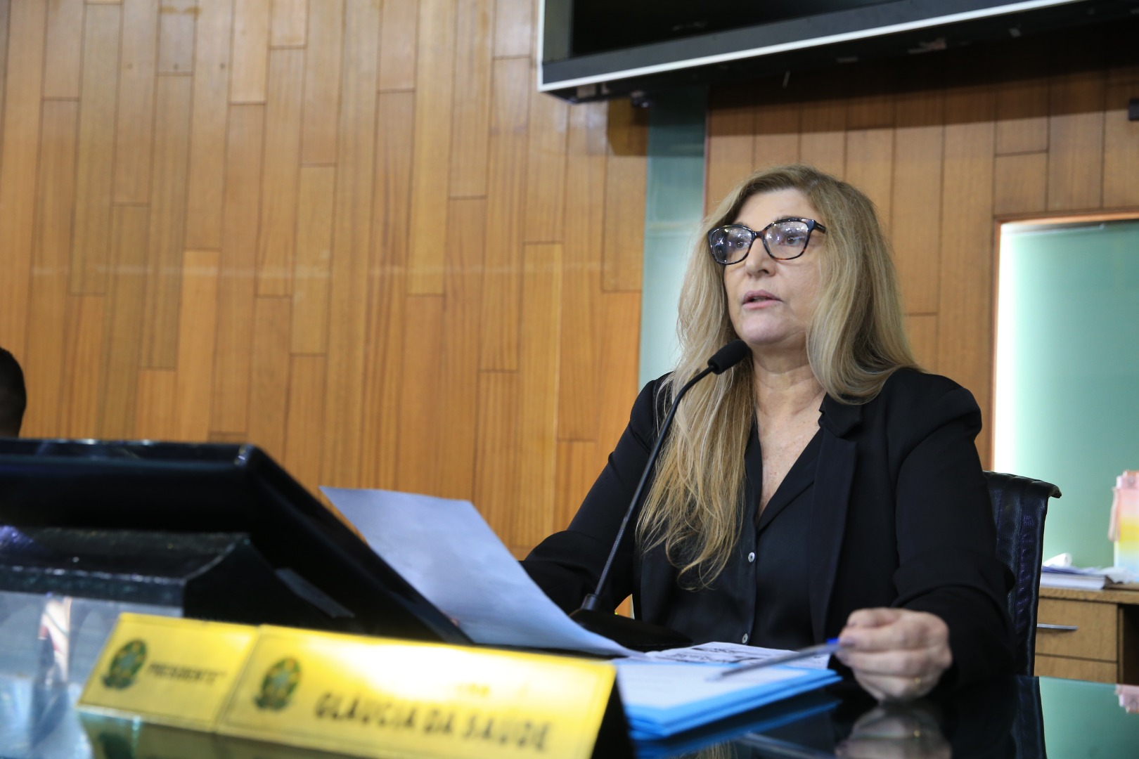 foto Aline Rezende 0007.JPG