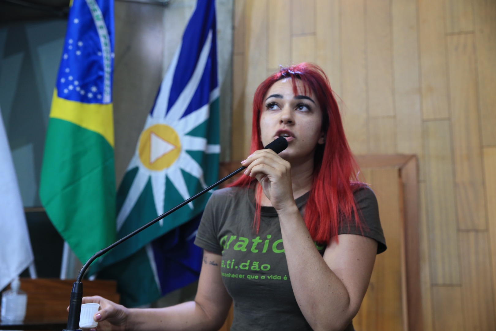 foto Aline Rezende 0051.JPG