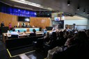  foto Aline Rezende 0023.JPG 