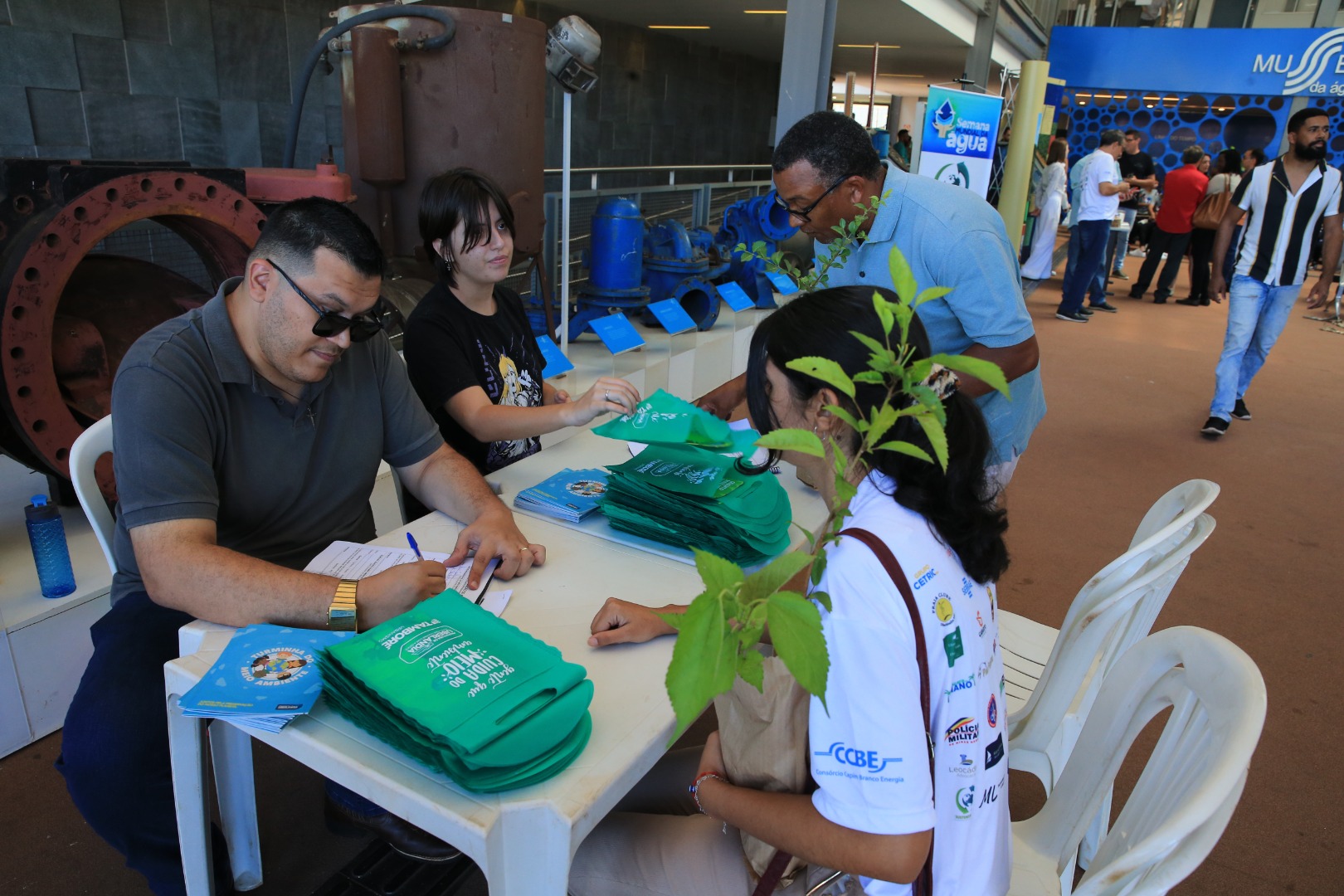 foto Aline Rezende 0002.JPG
