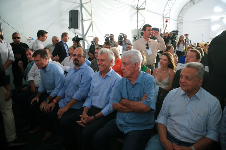foto Aline Rezende 0005.JPG