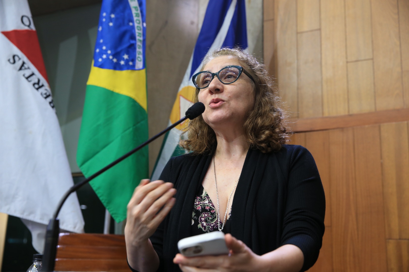 Foto Aline Rezende 0020.JPG
