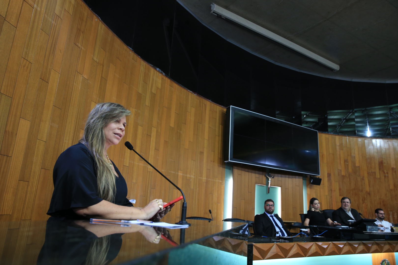 foto Aline Rezende 0023.JPG