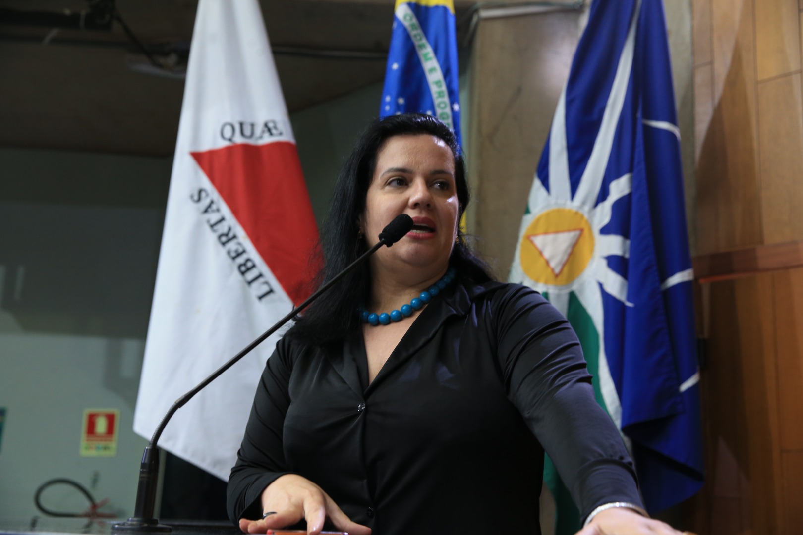 foto Aline Rezende 0014.JPG