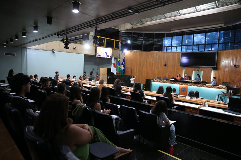 foto Aline Rezende 0014.JPG