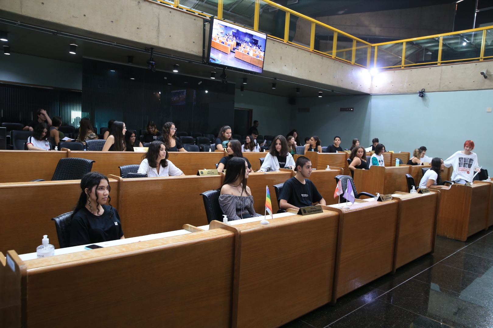 foto Aline Rezende 0021.JPG