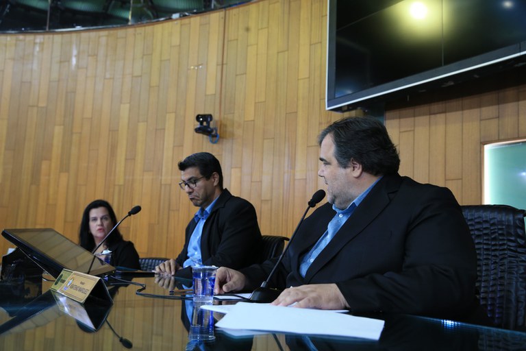 foto Aline Rezende 0003.JPG