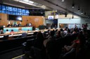  foto Aline Rezende 0008.JPG 