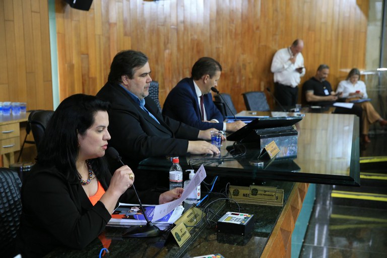 foto Aline Rezende 0009.JPG