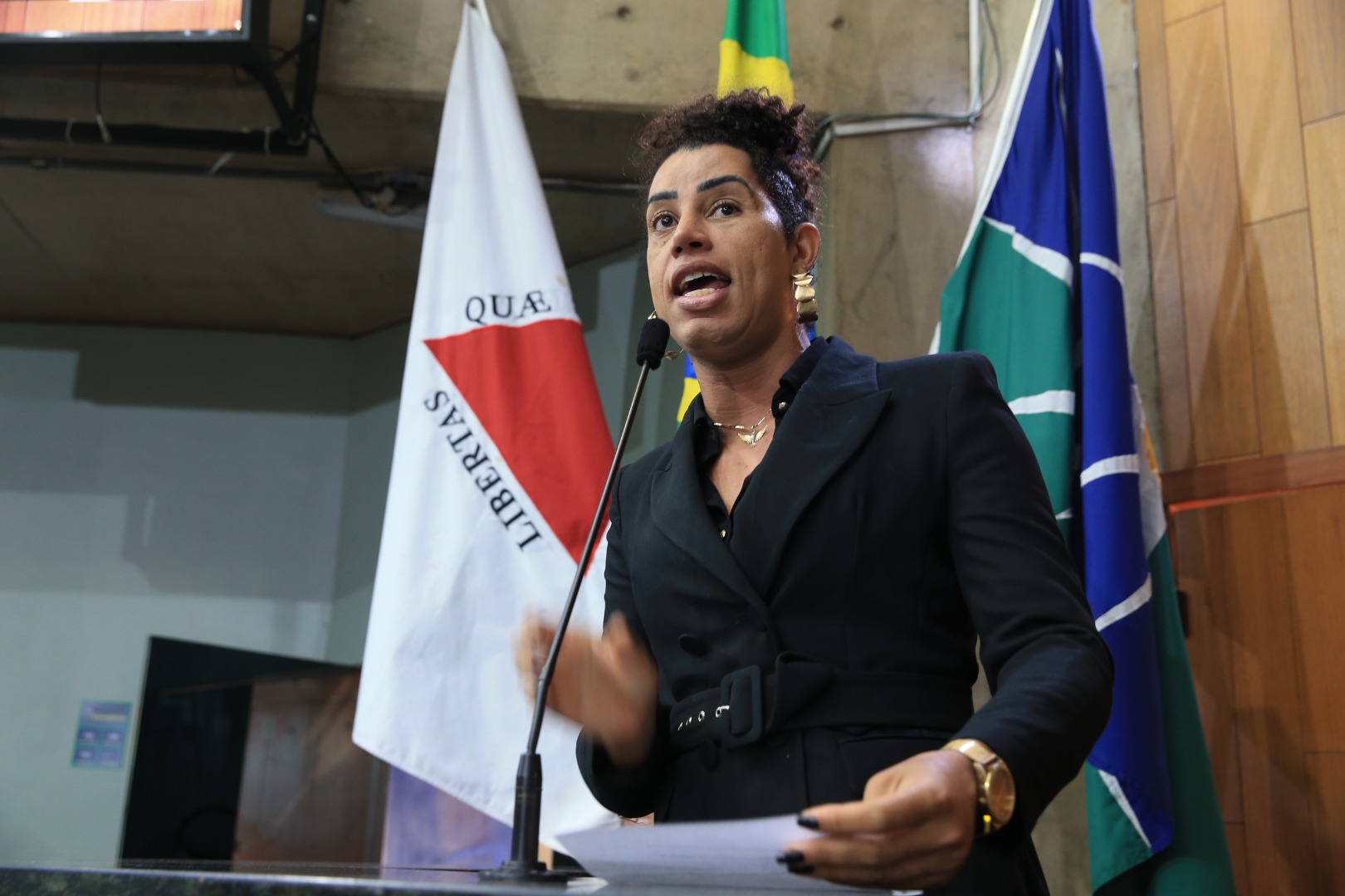 foto Aline Rezende 0023.JPG