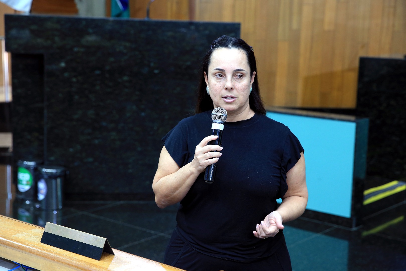 foto Aline Rezende 0004.JPG