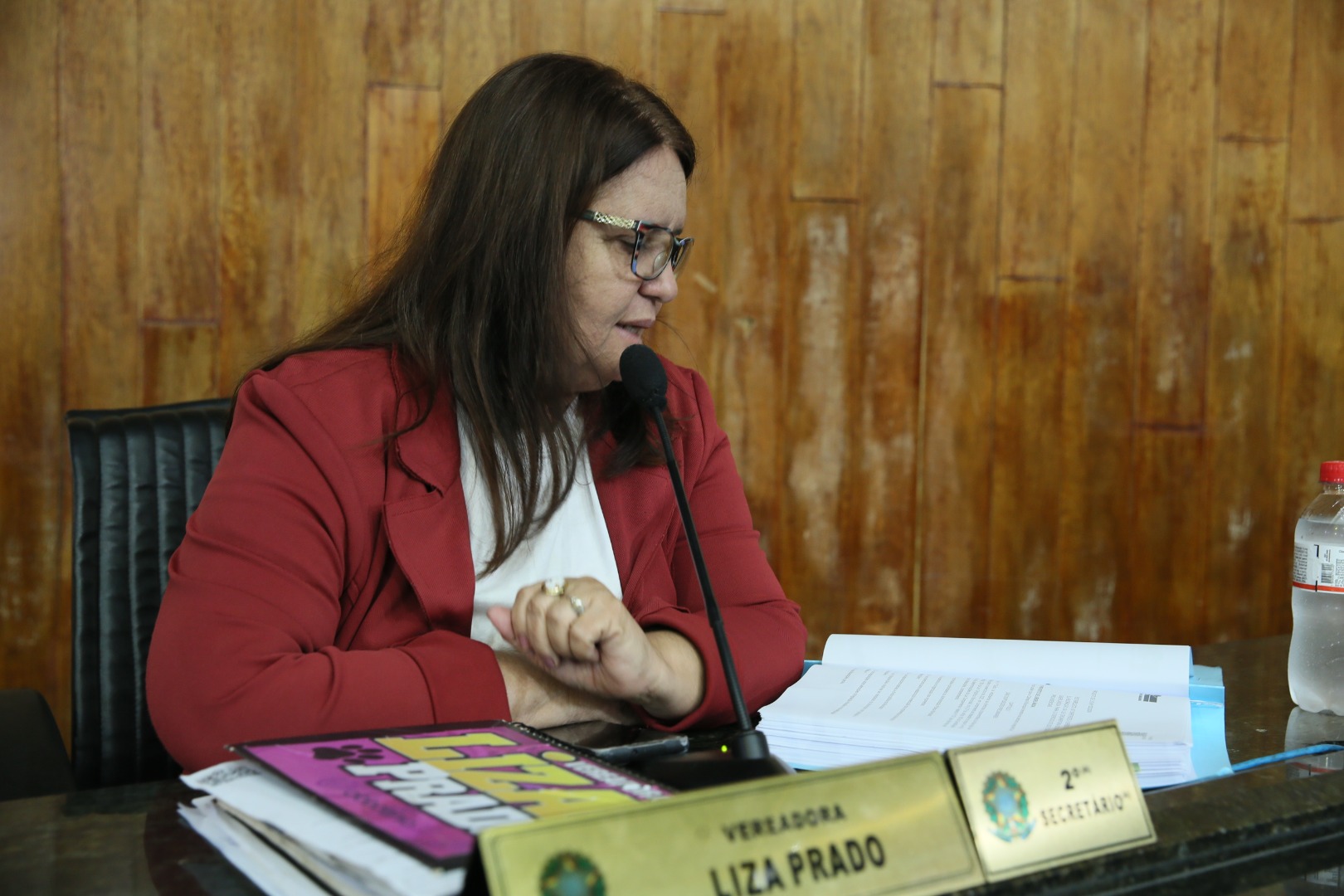 foto Aline Rezende 0005.JPG