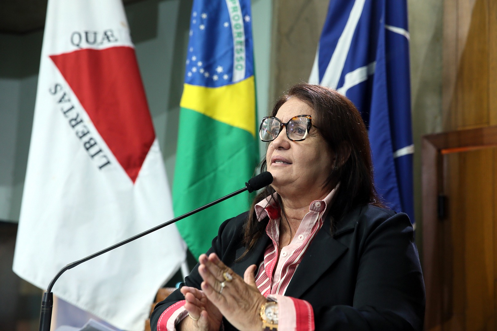 foto Aline Rezende 0024.JPG
