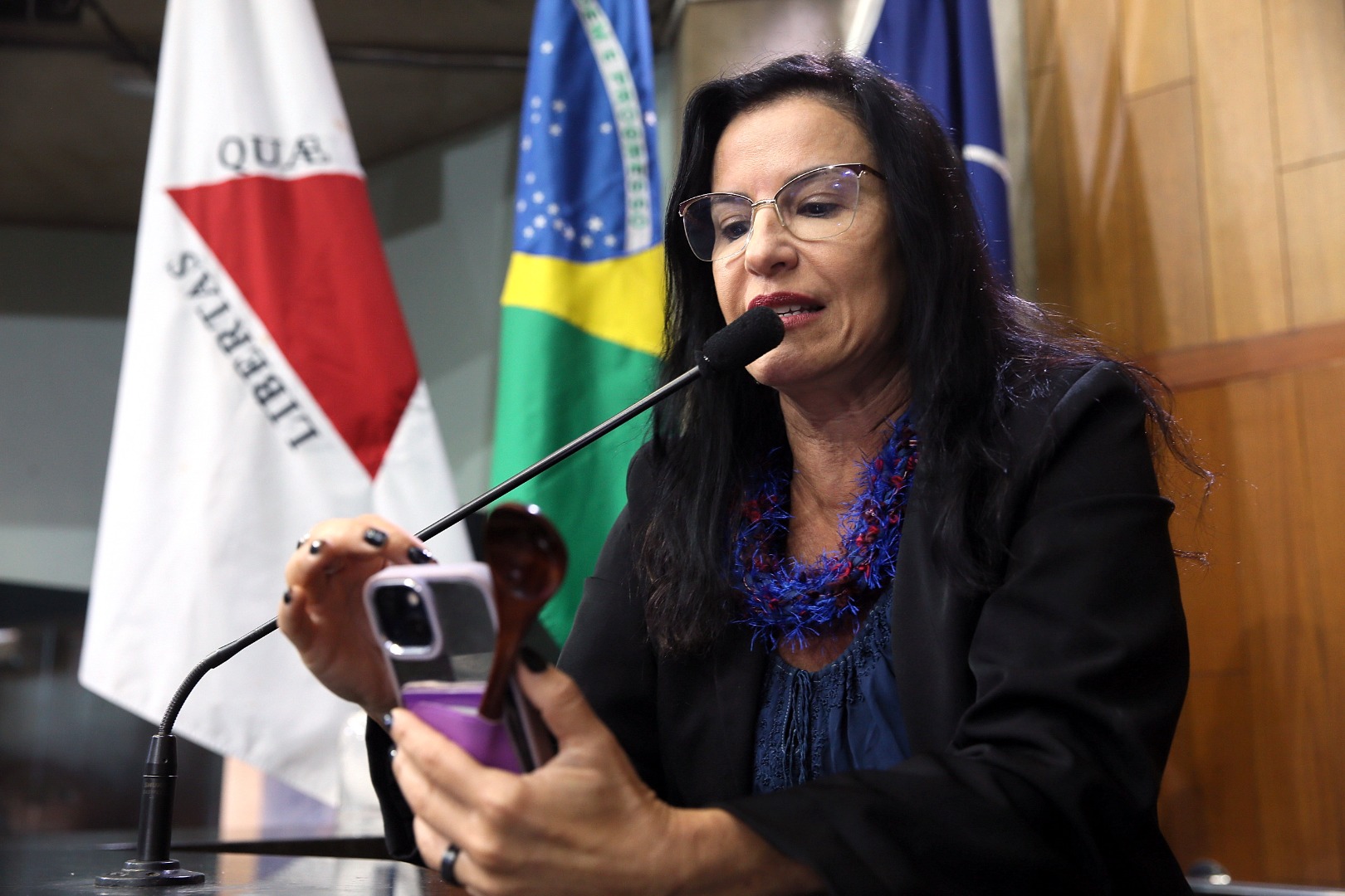 foto Aline Rezende 0017.JPG