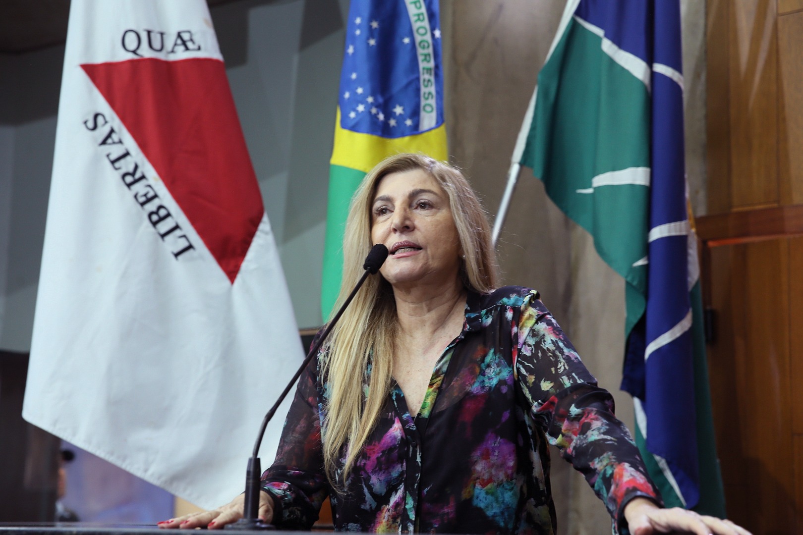 foto Aline Rezende 0022.JPG