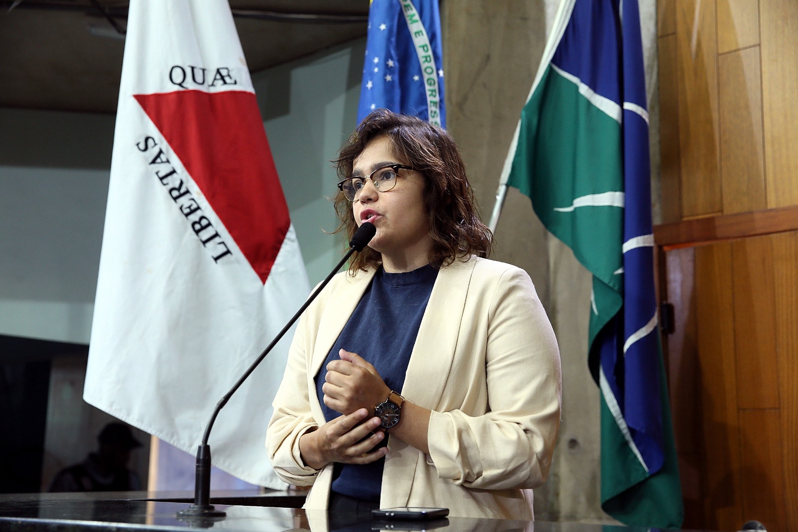foto Aline Rezende 0025.JPG