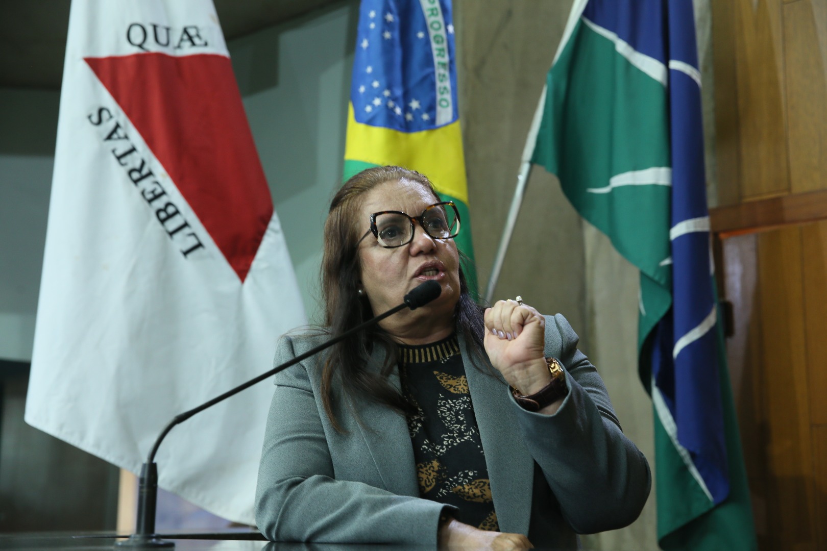 foto Aline Rezende 0018.JPG