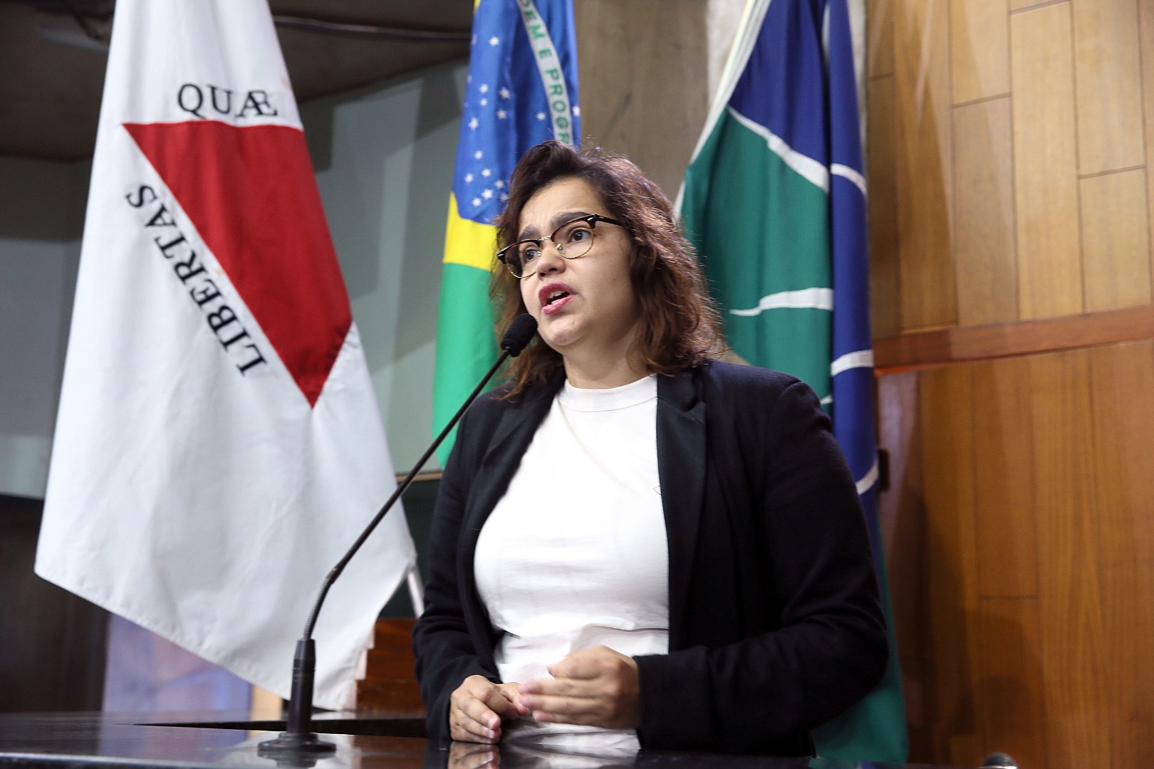 foto Aline Rezende 0032.JPG