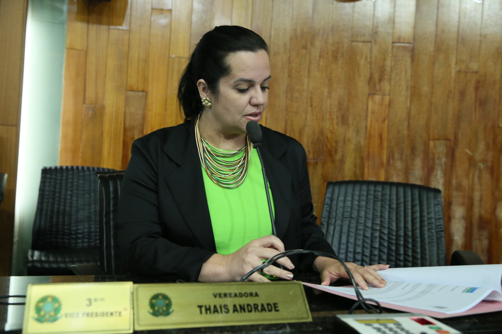 foto Aline Rezende 0043.JPG