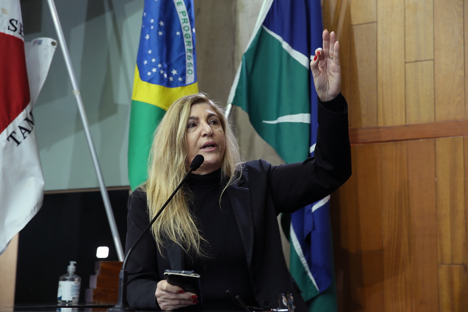 foto Aline Rezende 0054.JPG