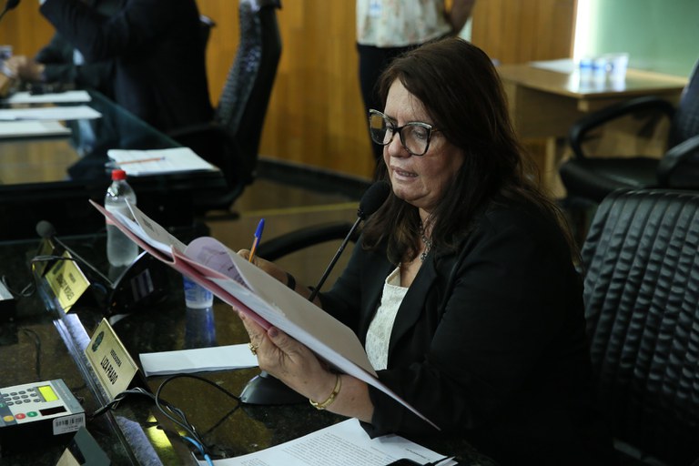 foto Aline Rezende 0023.JPG