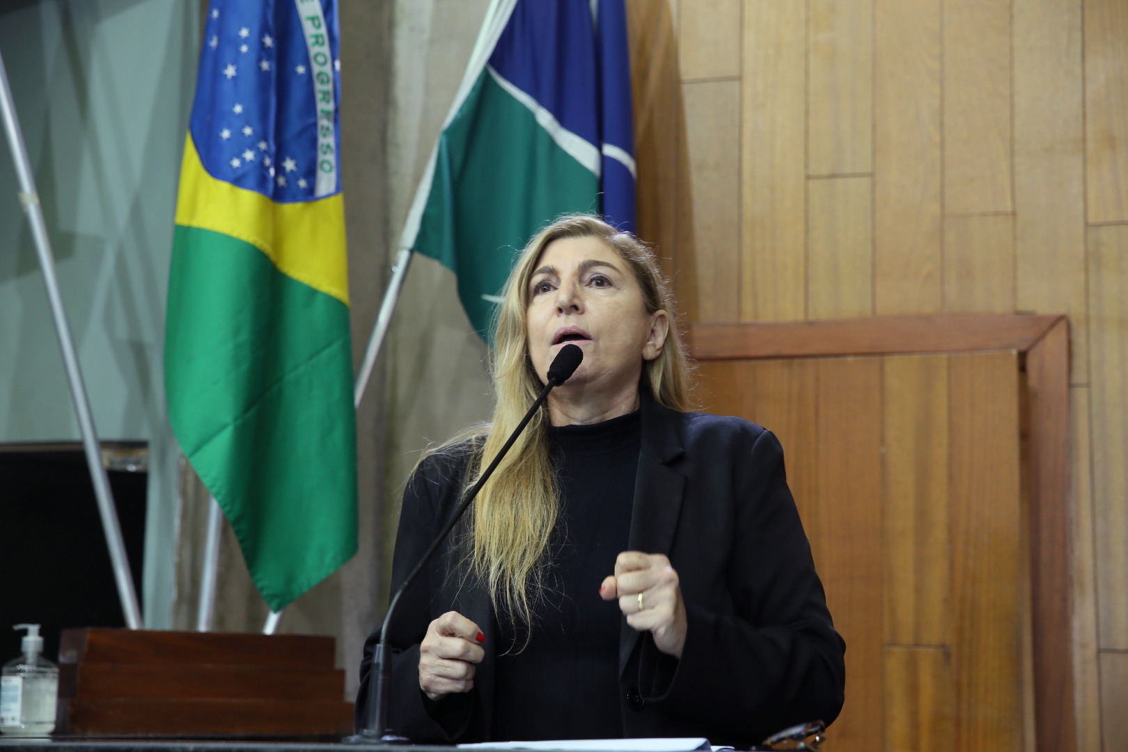 foto Aline Rezende 0050.JPG