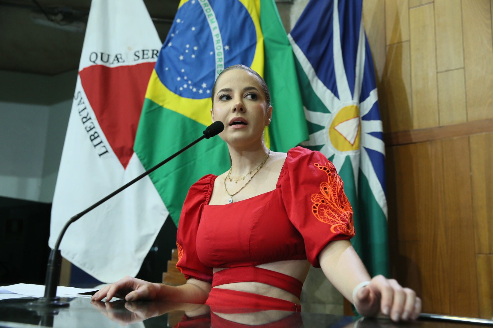 foto Aline Rezende 0028.JPG