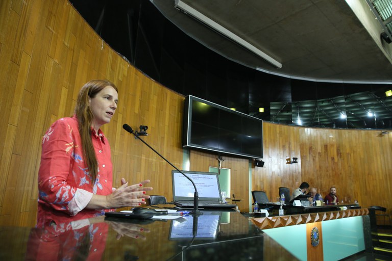 foto Aline Rezende 0024.JPG